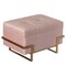 Fabulaxe Rectangle Velvet Storage Ottoman Stool Box with Abstract Golden Legs Decorative Sitting Bench for Living Room  with